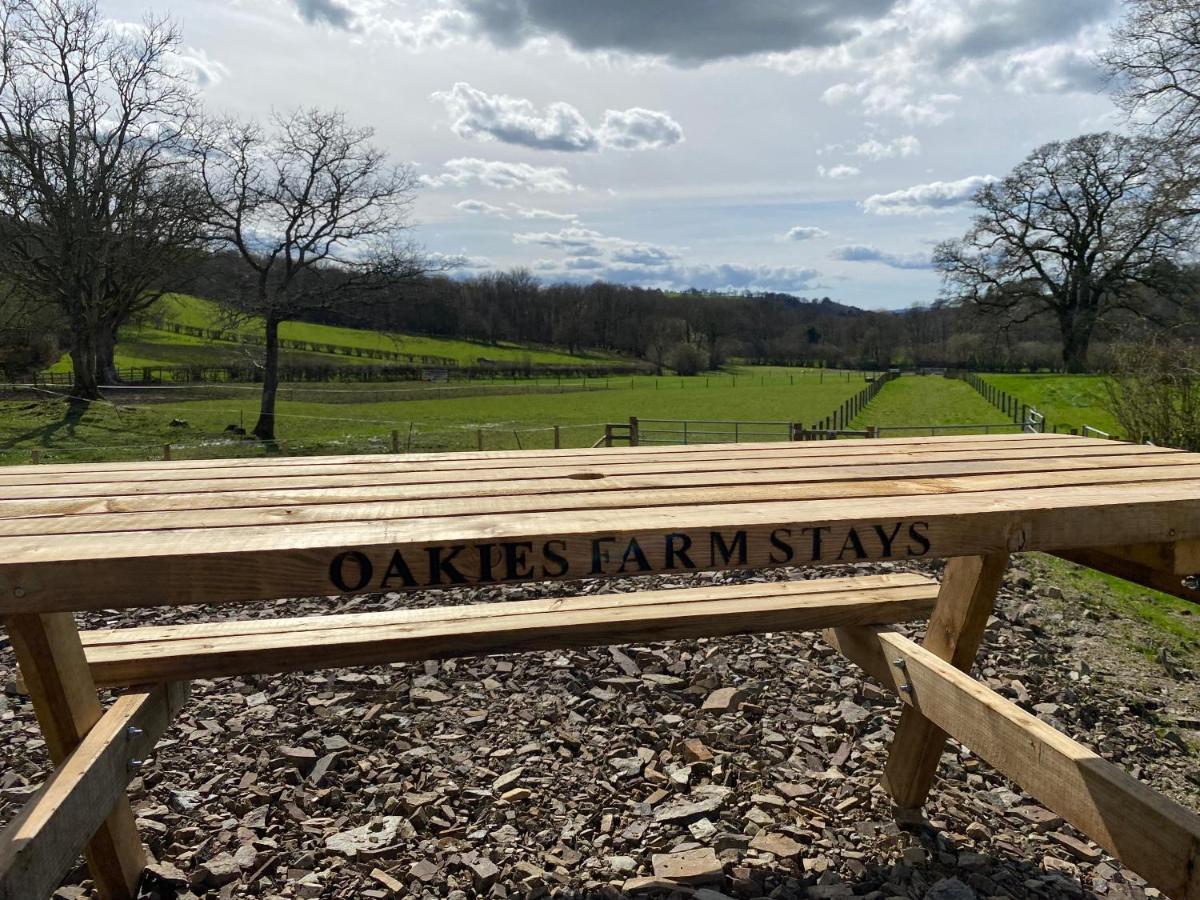 Oakies Farm Stays Llandovery Exterior photo