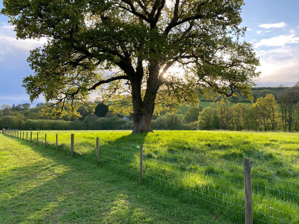 Oakies Farm Stays Llandovery Exterior photo